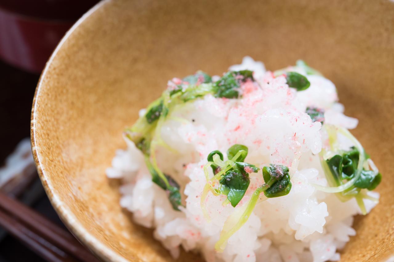Ryori Ryokan Okuhida Sansoan Kyoya 高山市 エクステリア 写真